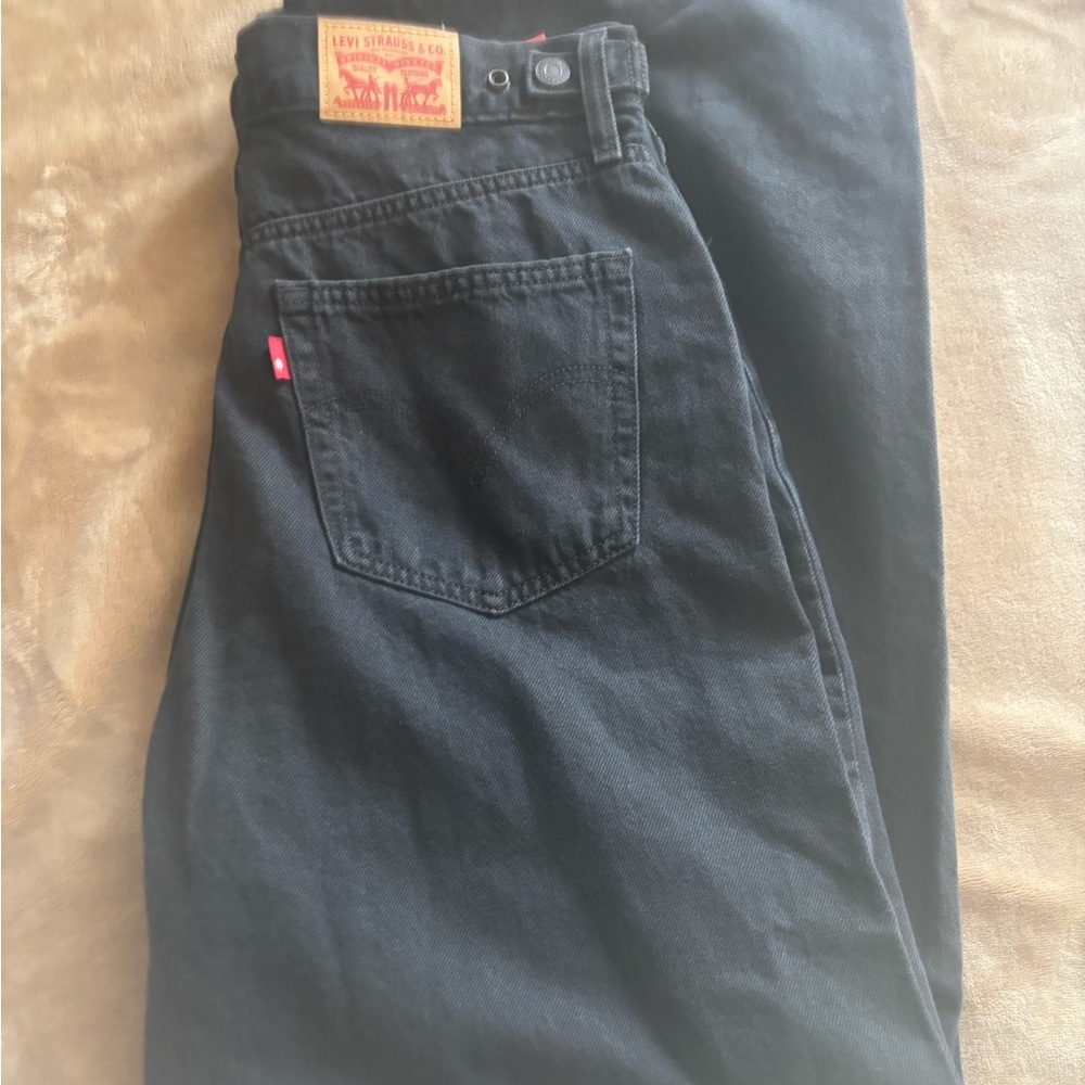 Levy Size 30 straight leg